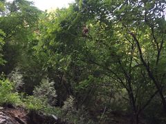 -北京上方山国家森林公园