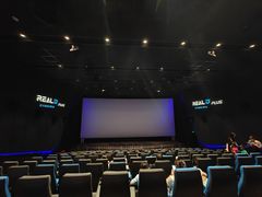 -奥斯卡升龙国际影城(RealD Cinema)