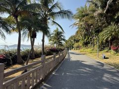 -碧桂园十里银滩