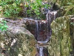 -呀诺达热带雨林