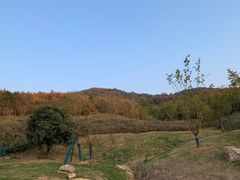 -南京市无想山景区