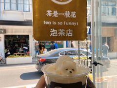 -茶是一枝花泡茶店