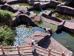 -蛇蟠岛