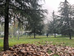 -洨河生态公园