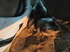 -演武大桥观景平台