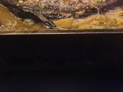 -炉鱼(平湖八佰伴店)