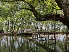 -西溪南古村落景区