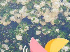 -上海滨江森林公园