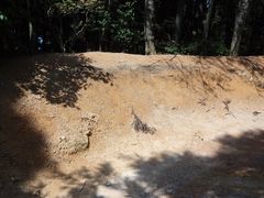 -井冈山风景名胜区-黄洋界