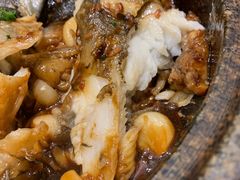 -海派美食·家宴海鲜青岛菜·石锅鲽鱼头(东方城店)