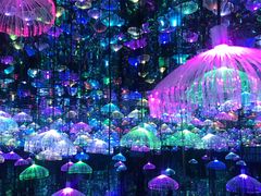 -天津梵高星空艺术馆(天河城旗舰店)