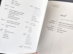 -新加坡航空公司(ION)