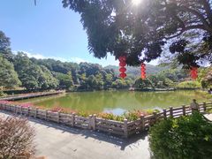 -广州市帽峰山景区
