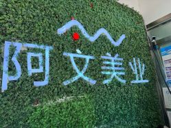 -阿文美业