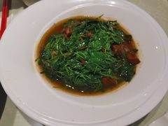 金花菜蚌肉-金典银峰老鹅馆·昆山菜(亭林公园店)