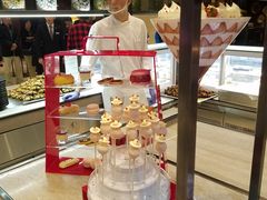 -新发展亚太JW万豪酒店·福苑咖啡厅