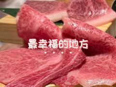 -俺的焼肉(銀座9丁目店)