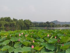 -承德避暑山庄景区