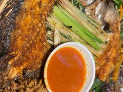 -纳禾春.云南.版纳特色菜.傣味手抓饭(悦云天地店)