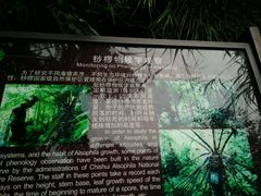-赤水丹霞旅游区·佛光岩