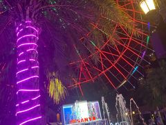 -三亚海昌梦幻海洋不夜城