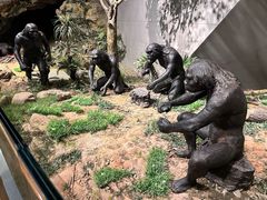 -北京周口店北京人遗址博物馆