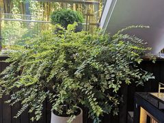 -三利音·浦之舟(滨江大道店)