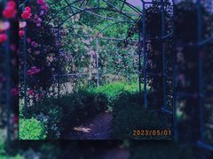 -花博汇(知音花月夜)