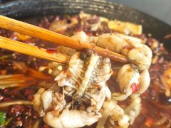 -鸿顺老铁锅美蛙鱼府(解放碑店)