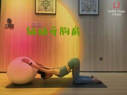 -拉伽瑜伽·普拉提·月付制