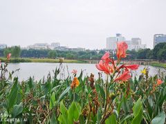 -南宁南湖公园