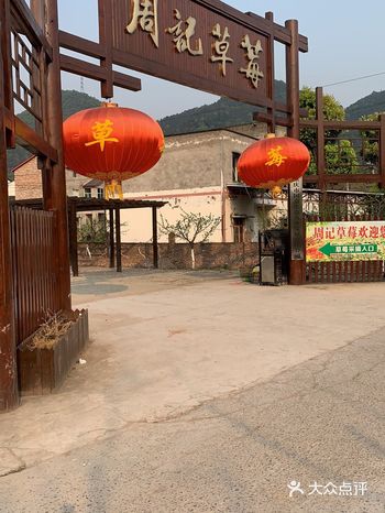 我们是下午去的 都被摘得差不多了 剩的都比较小