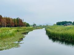 -苏州太湖湖滨国家湿地公园