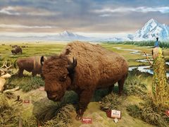 -陕西自然博物馆