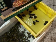 -美未居·老字号·地道顺德菜·桑拿鸡·鱼生(容桂店)