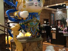 -more than meow吴止猫主题餐厅(承德 中船汇店)