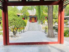 -碑林公园