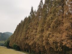 -南京金牛湖风景区