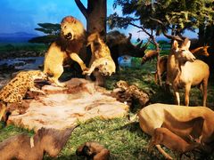 -国家自然博物馆