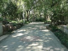 -长广溪湿地公园