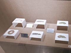 -洛阳周王城天子驾六博物馆