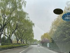 -蒙阴付老大鸡店