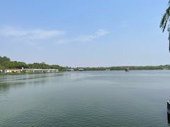 -大兴滨河森林公园