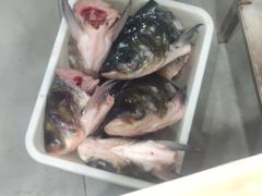 -渔香岛美蛙鱼头火锅(威清路店)