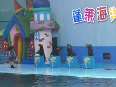 -蓬莱欧乐堡海洋极地世界