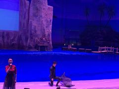 -华夏文旅海洋公园