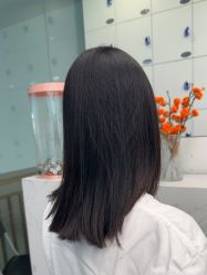 -YESIDO椰岛造型