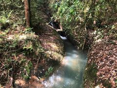 -武夷山风景名胜区-虎啸岩