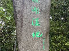 -溱湖国家湿地公园