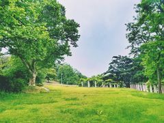 -青岛德国总督楼旧址博物馆